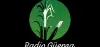 Logo for RADIO GUEPSA