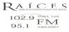Logo for Raices 95.1 FM