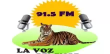 Radio El Tigre 91.5 ФМ
