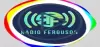Logo for Radio Ferguson