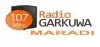 Logo for Radio Garkuwa 107