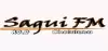 Logo for Sagui FM Choluteca
