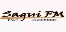Sagui FM Choluteca