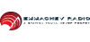 Logo for Emmachev Radio