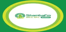 Shamba FM Radio