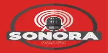 Sonora 99.5 FM