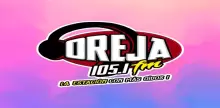 Oreja 105.1 FM