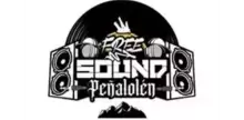 Free Sound Peñalolén