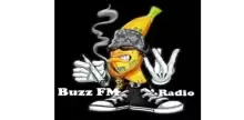 Buzz FM Radio