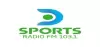 Logo for D Sports Radio