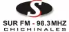 Logo for Radio Sur Chichinales