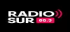 Logo for Radio Sur FM 88.3