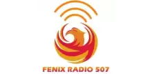 Fenix Radio 507