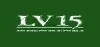 Logo for LV 15 Villa Mercedes