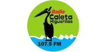Radio Caleta Higuerillas