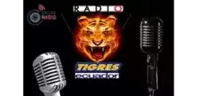Radio Tigres