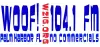 WZIG 104.1FM