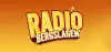 Logo for Radio Bergslagen