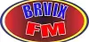 Logo for Radio Brvix FM