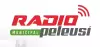 Logo for Radio Municipal Peleusi
