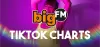Logo for bigFM TikTok Charts