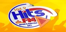 Hits FM Manhumirim