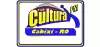 Logo for Radio Cultura FM 104.9