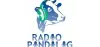 Radio Pindilig Online