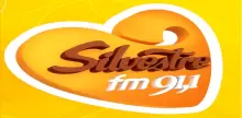 Silvestre FM 91.1