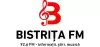Logo for Bistrita FM