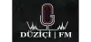 Logo for Düziçi FM