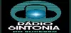 Logo for Radio Sintonia do Sucesso