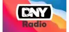 Logo for DNY Radio 95.5