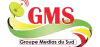 Logo for GMS FM Senegal