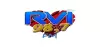 Logo for Radio RVI