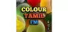 Logo for Colour Tamil FM