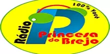 Radio Princesa do Brejo FM