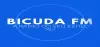 Logo for Radio Bicuda
