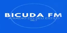 Radio Bicuda