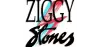 Logo for Radio Ziggy Stones