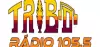 Logo for Radio Tribo FM