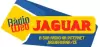 Logo for Radio Web Jaguar