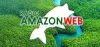 Radio Amazon Web