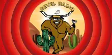 Revel Country Radio
