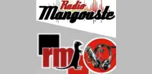 Radio Mangouste