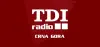 Logo for TDI Radio CRNA GORA