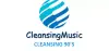 Logo for Cleansing 90’s