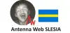 Logo for Antenna Web SLESIA