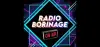 Logo for Radio Borinage