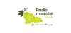 Logo for Radio Moscatel 107.1 FM